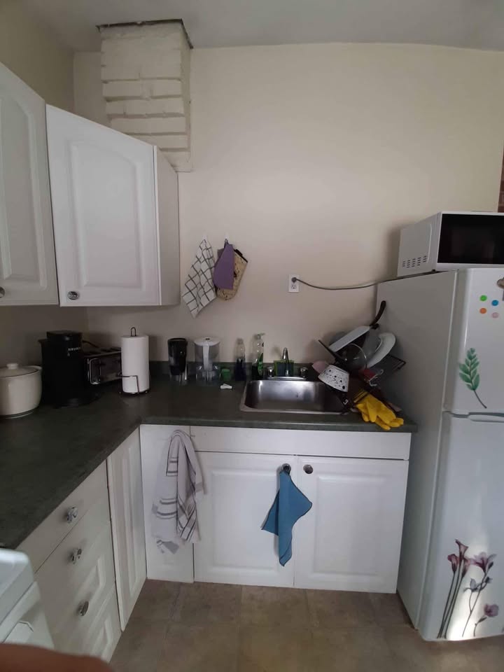 Image_Image_15