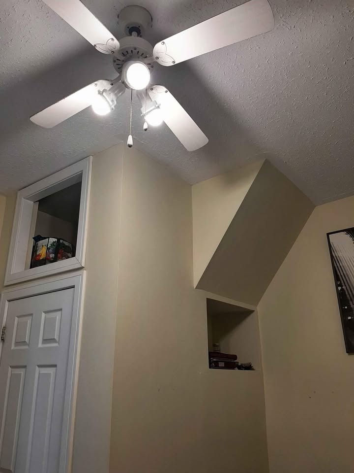 Image_Image_4
