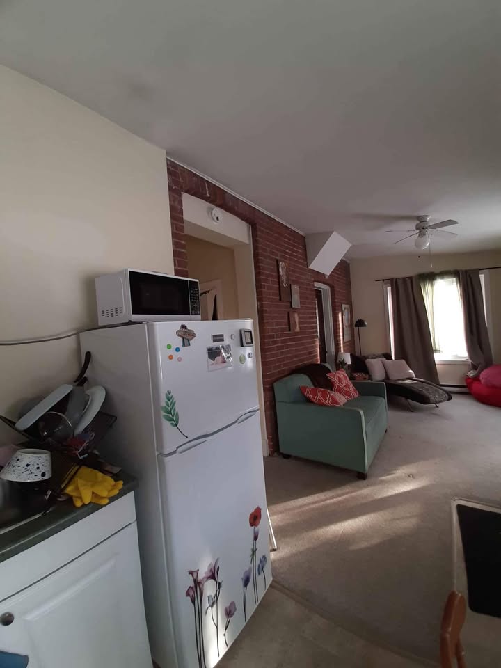 Image_Image_16