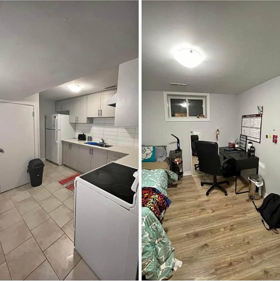 Image_Image_2