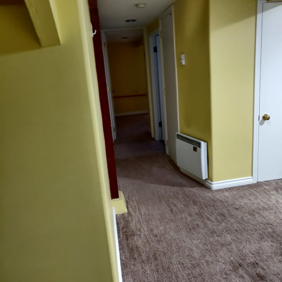 Image_Image_2