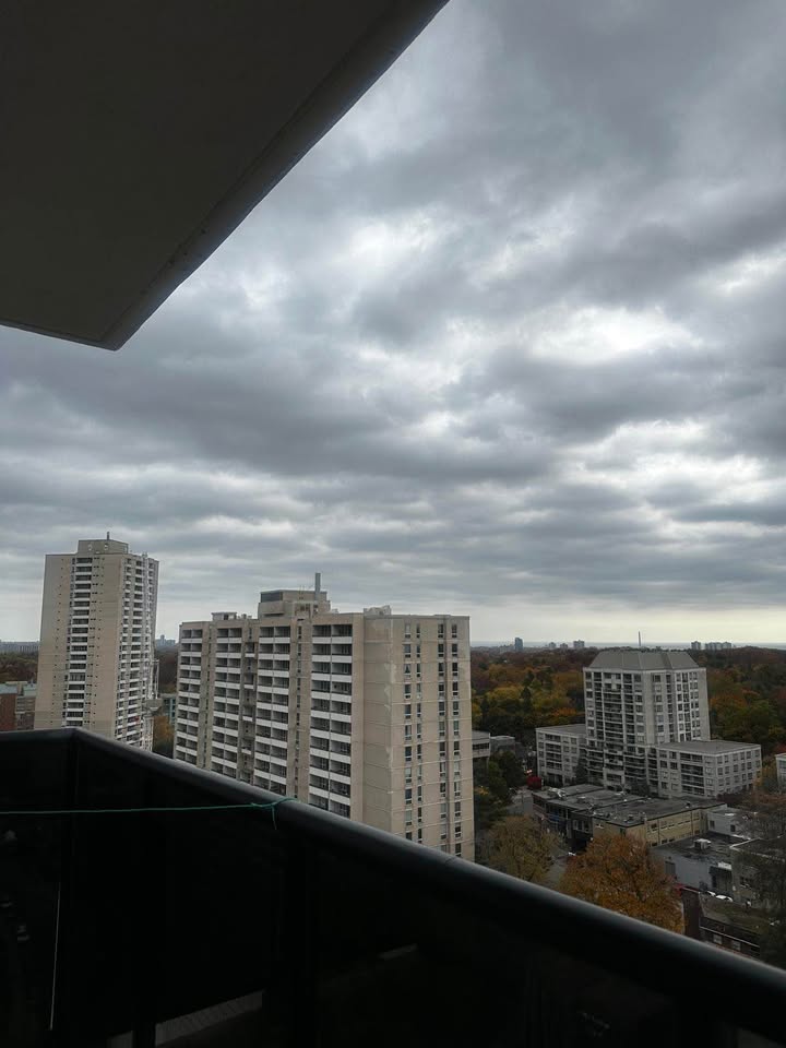 Image_Image_6