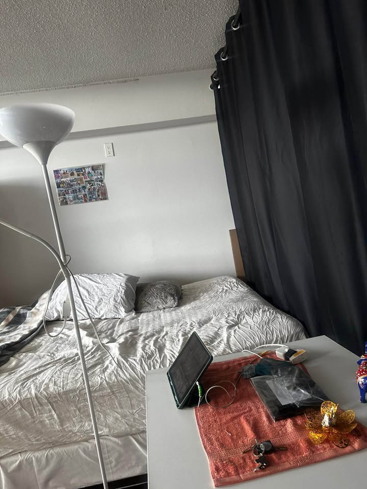 Image_Image_5
