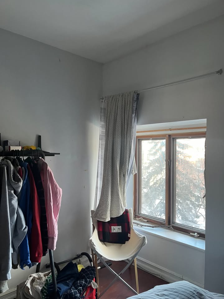 Image_Image_5