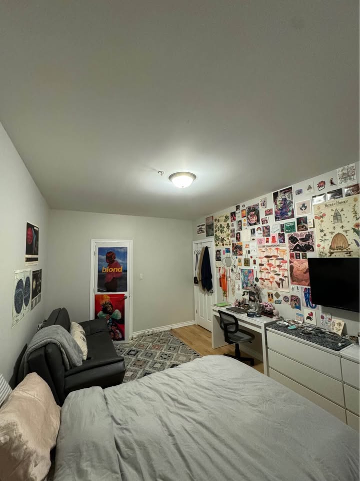 Image_Image_2