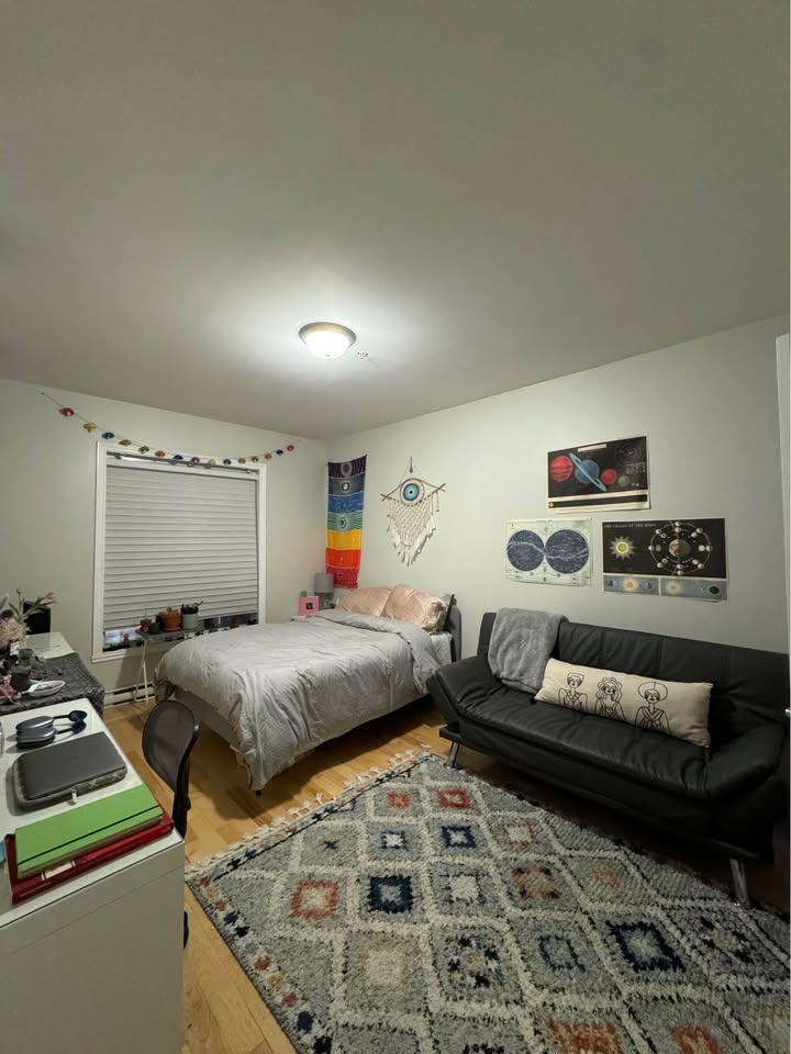 Image_Image_3