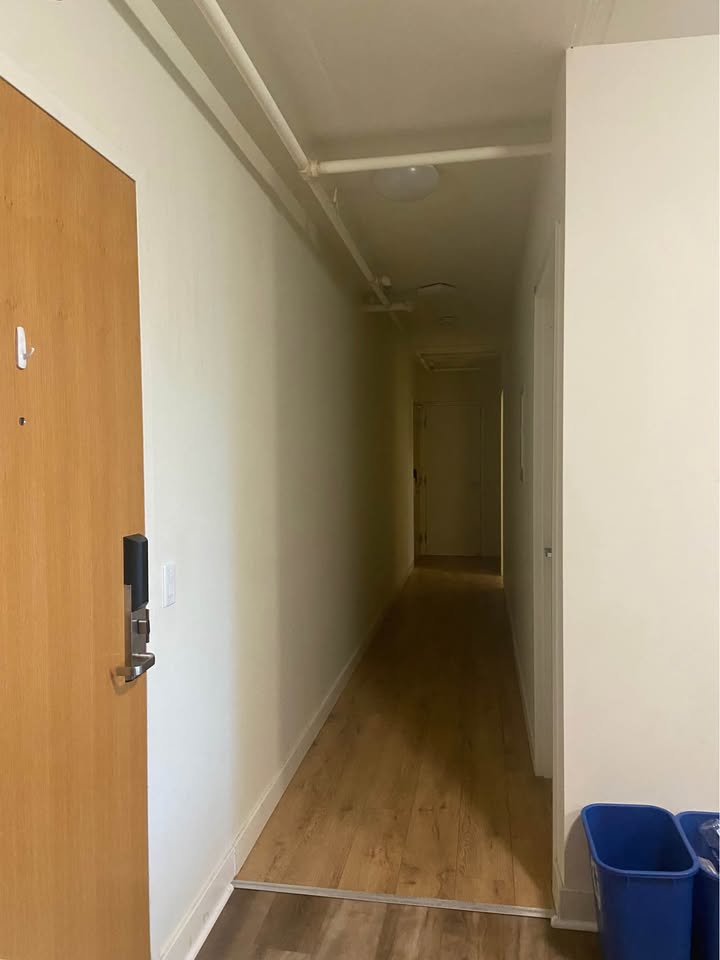 Image_Image_6