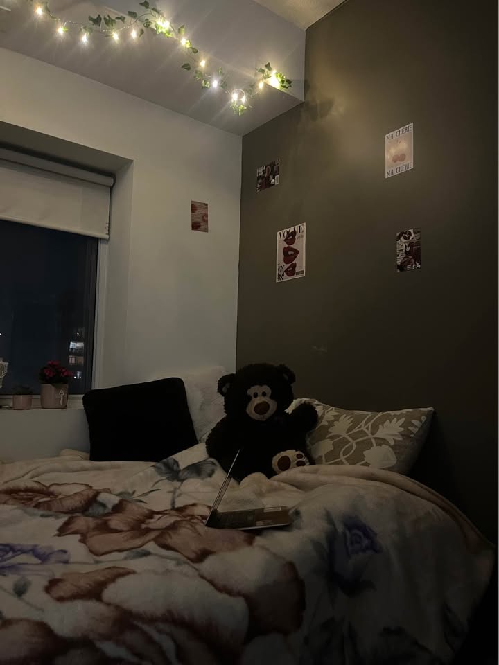 Image_Image_2