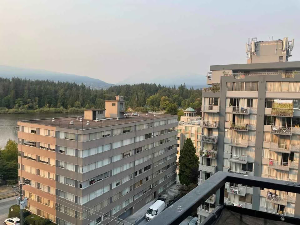 Image_Image_2