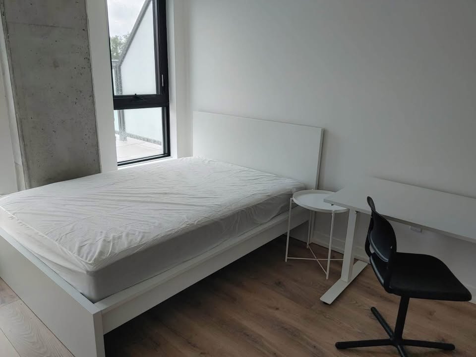 Image_Image_3