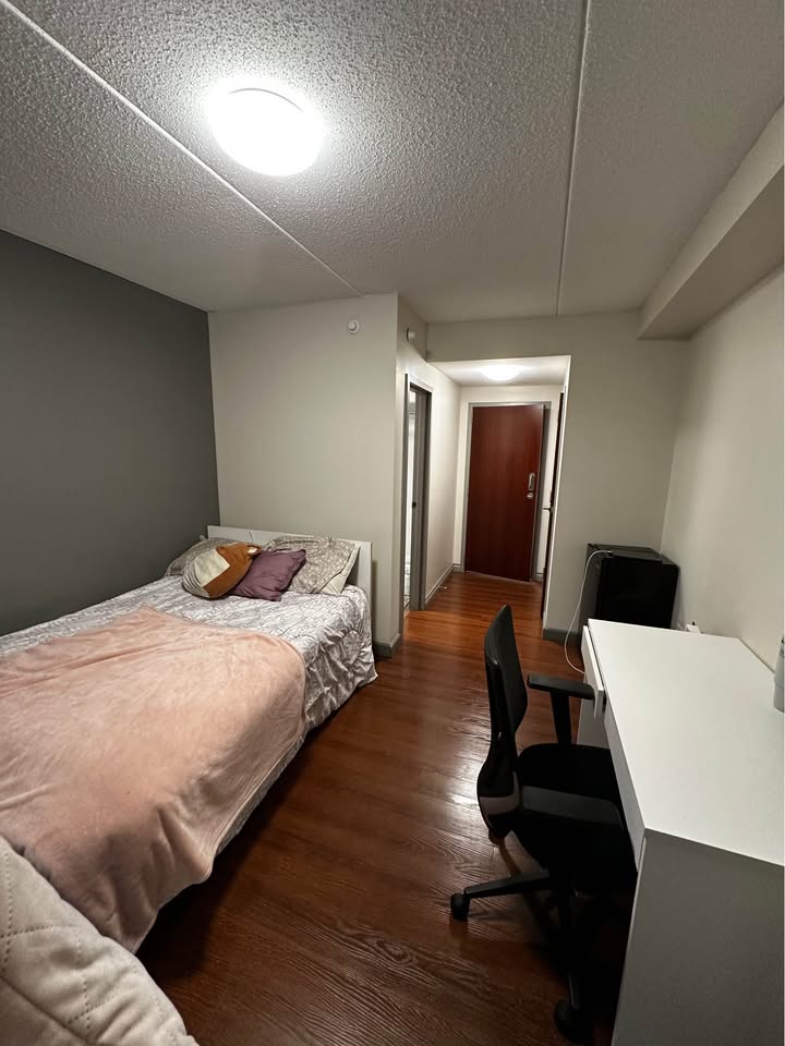 Image_Image_2