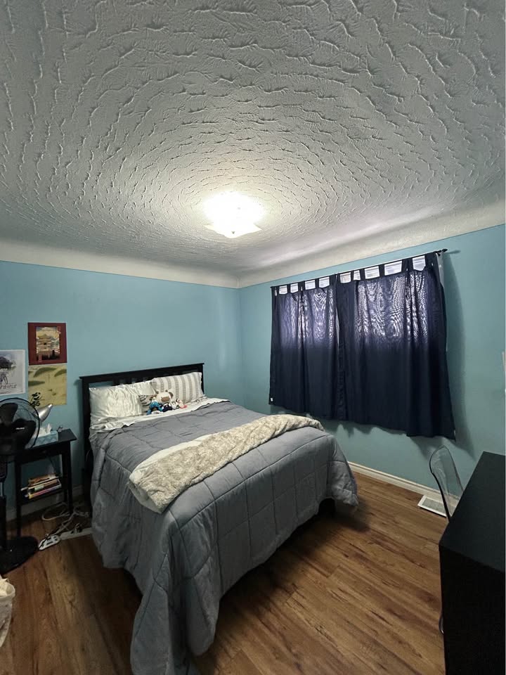 Image_Image_4