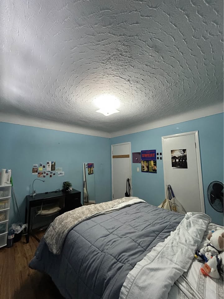 Image_Image_3