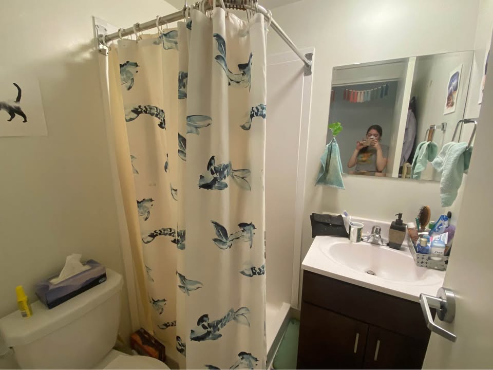Image_Image_2