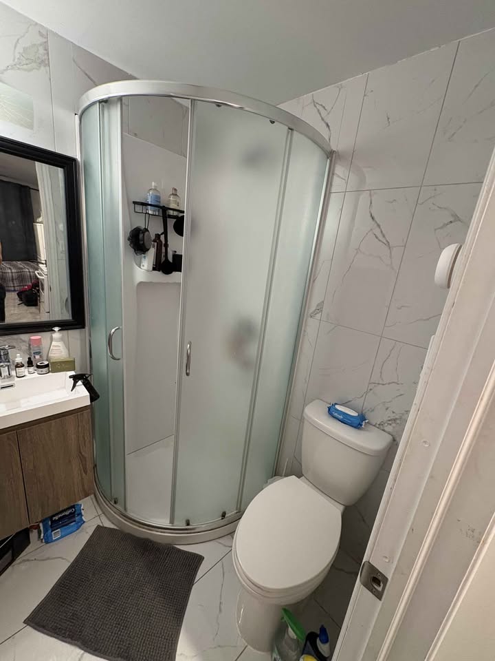 Image_Image_8