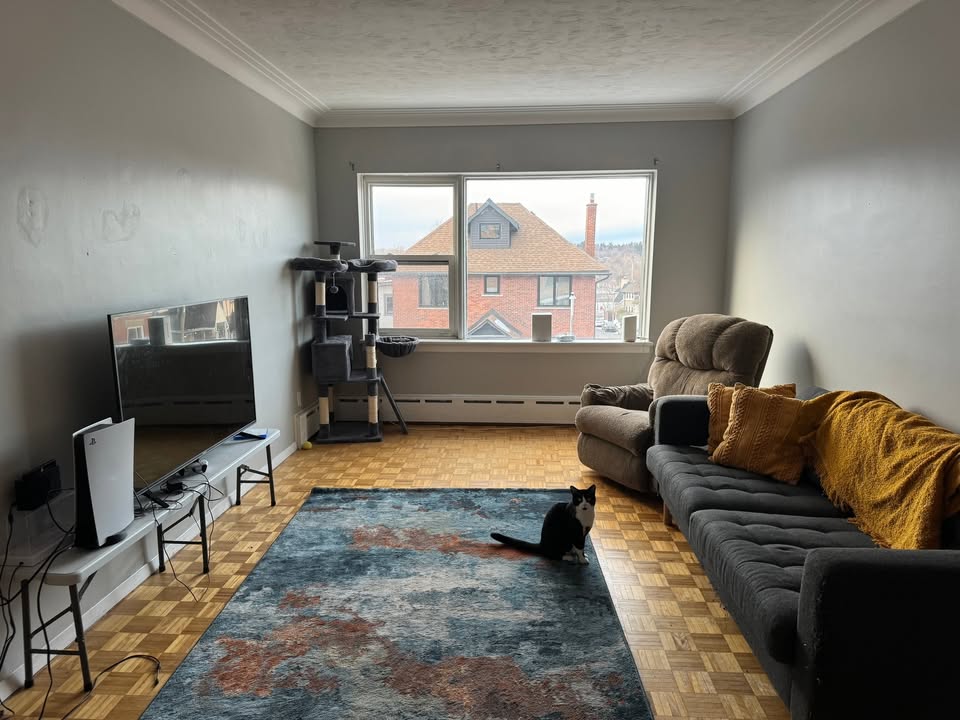 Image_Image_2