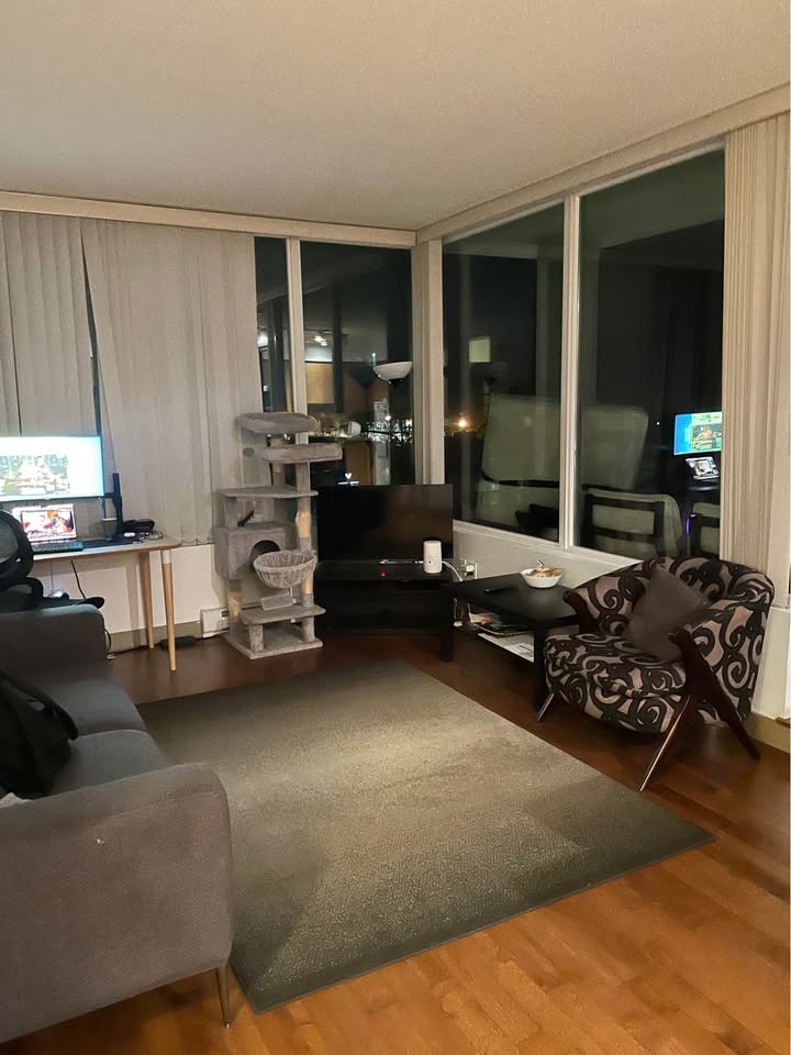Image_Image_2