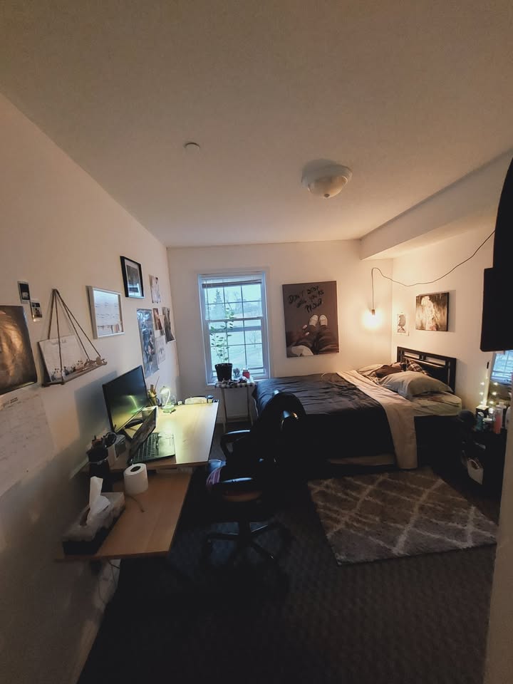 Image_Image_2