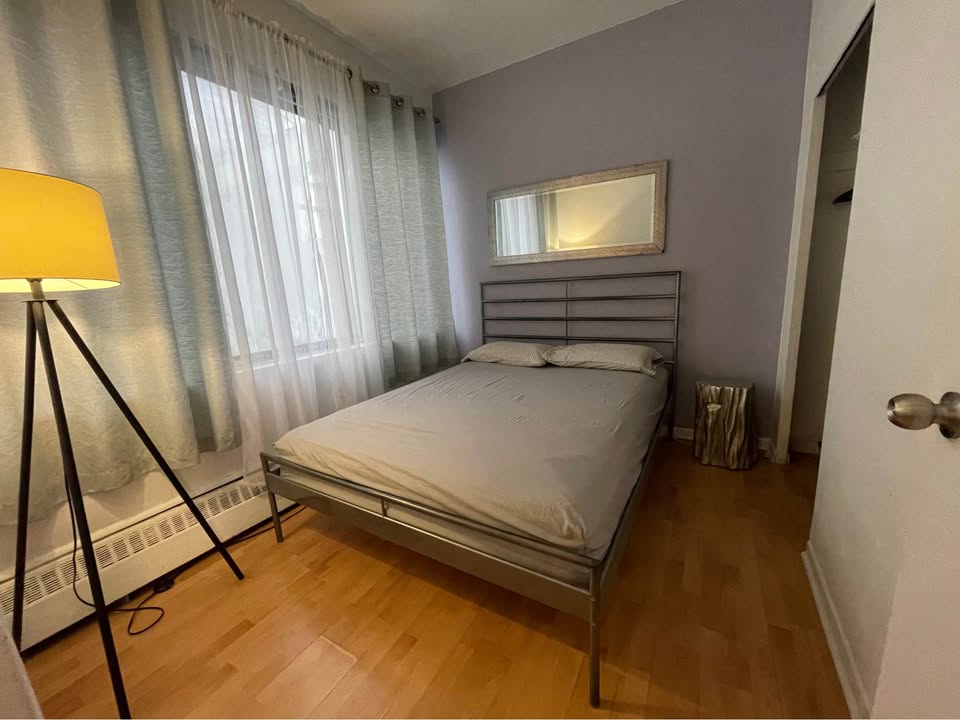 Image_Image_6