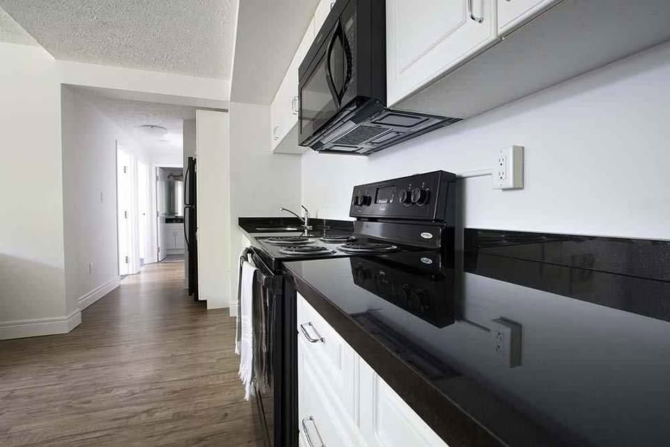 Image_Image_5
