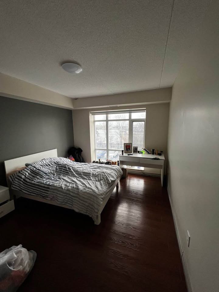 Image_Image_2