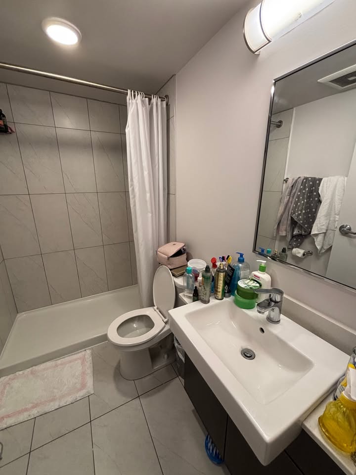 Image_Image_8