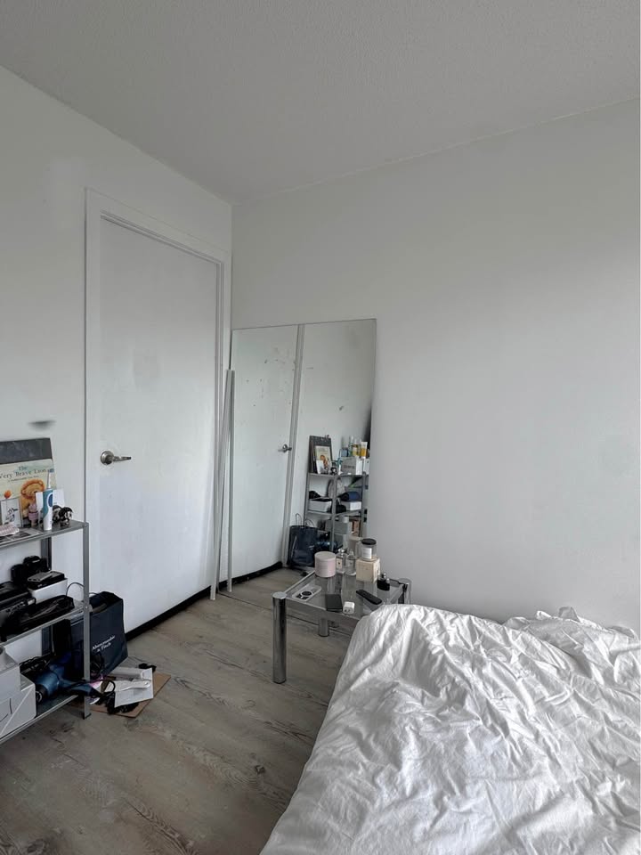 Image_Image_3