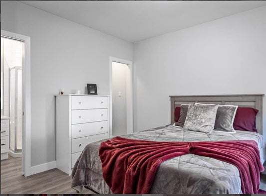 Sorena_Shekarnoosh_Image_1