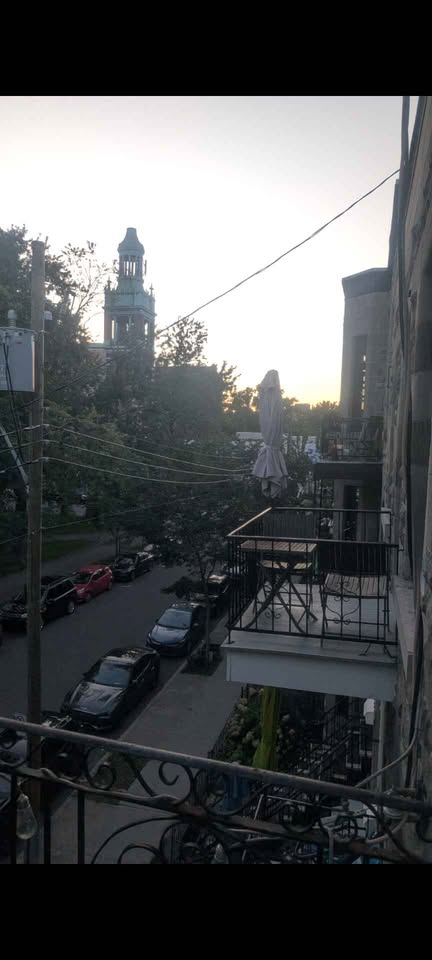 Image_Image_2