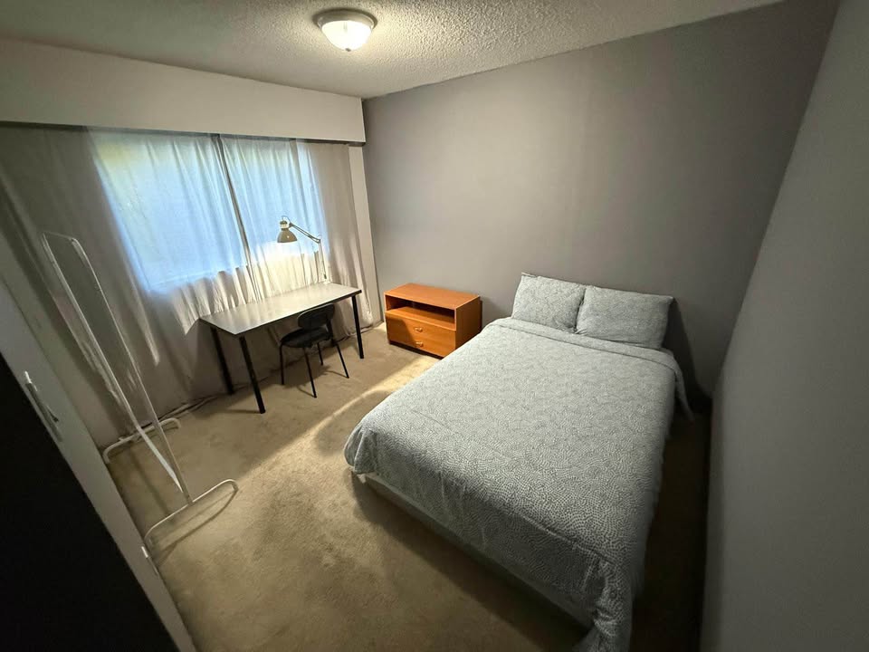 Image_Image_2