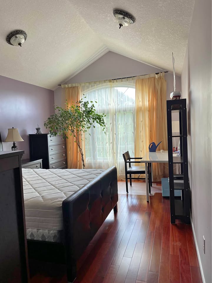 Cathy_Yuhua_Wang_Image_1