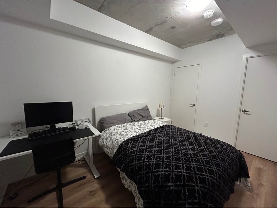 Image_Image_4