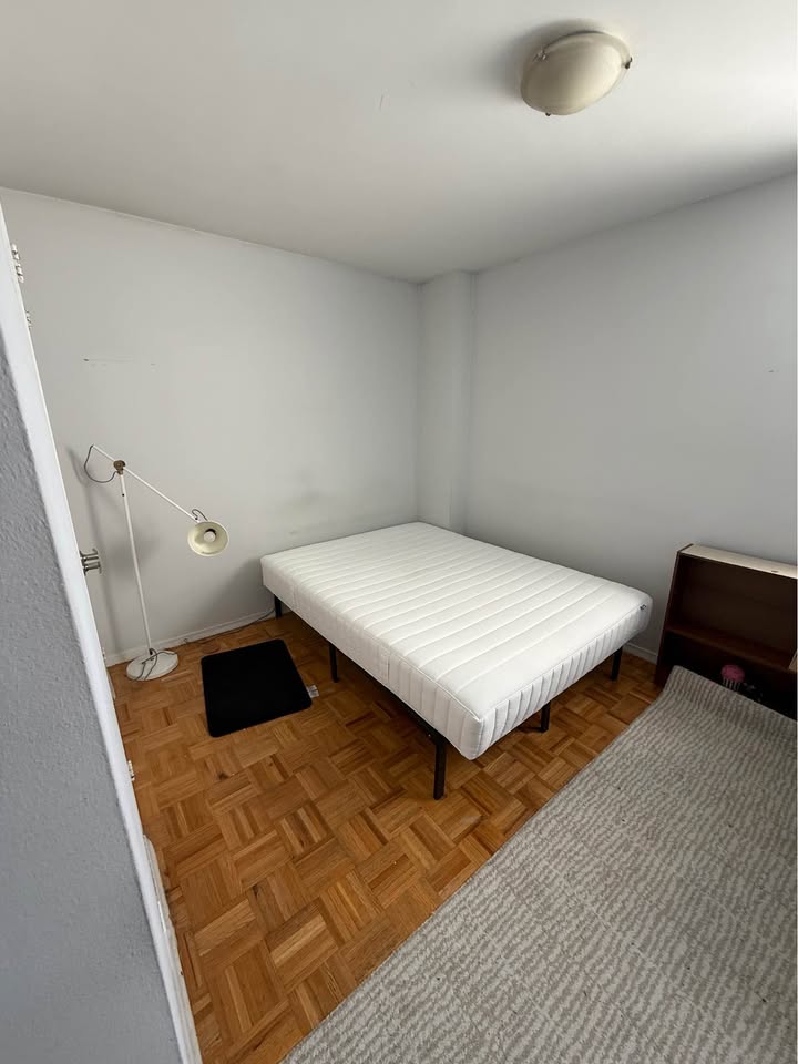 Image_Image_3
