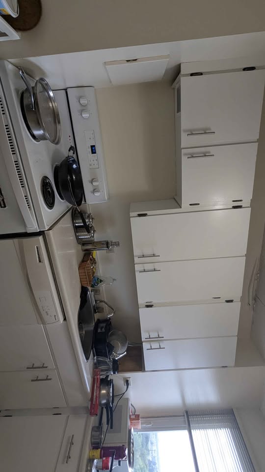 Image_Image_17