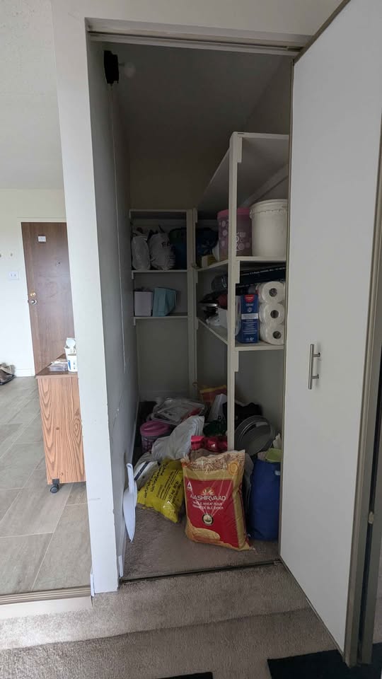 Image_Image_11