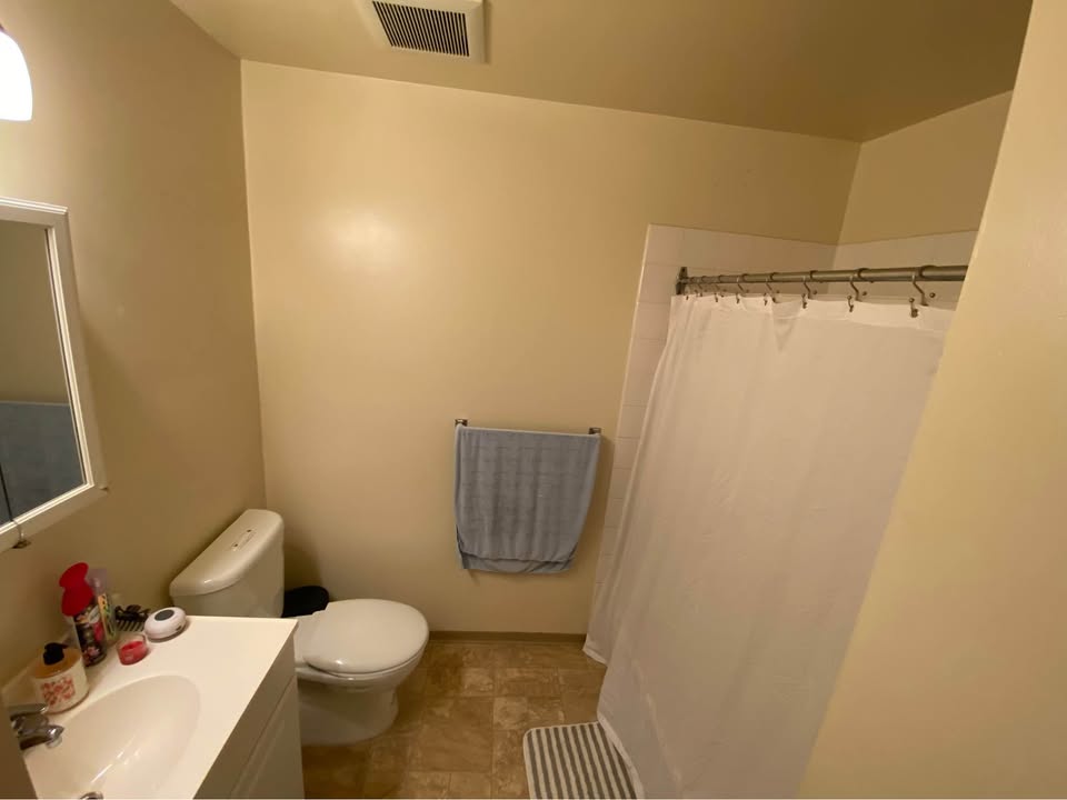 Image_Image_4