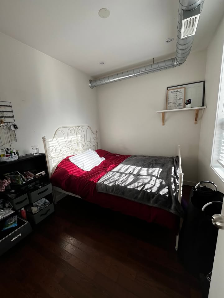 Image_Image_2
