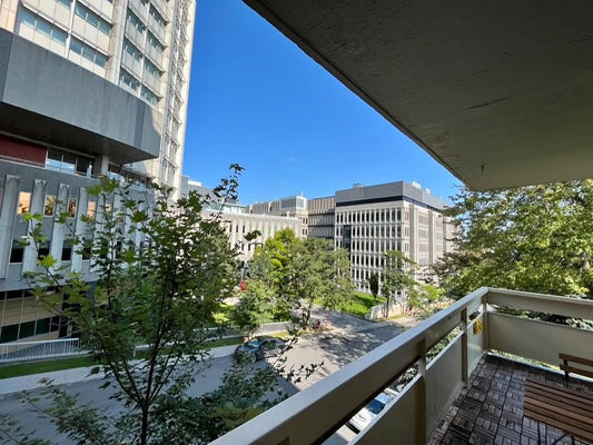 Image_Image_1