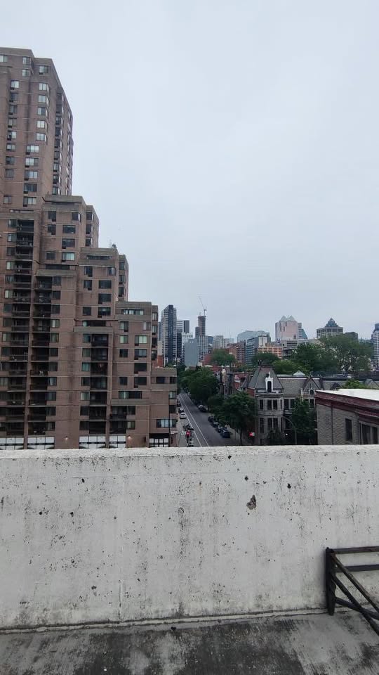 Image_Image_9