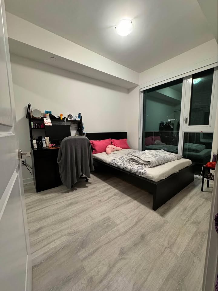 Image_Image_2