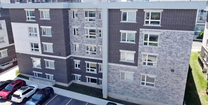 Image_Image_1