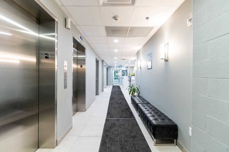 Image_Image_2