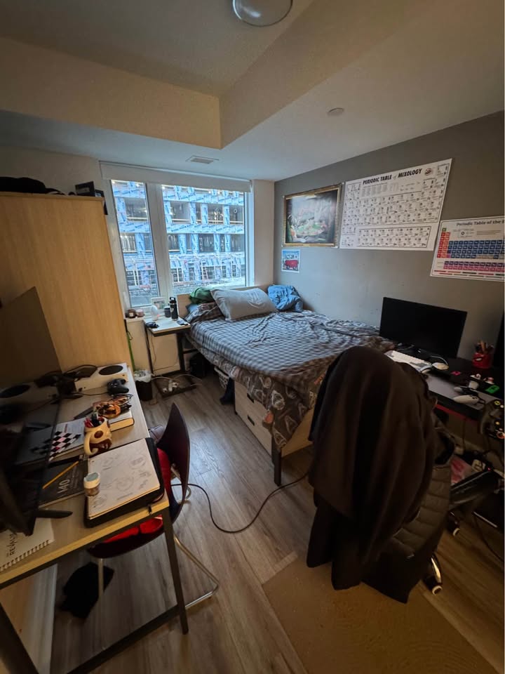 Image_Image_2
