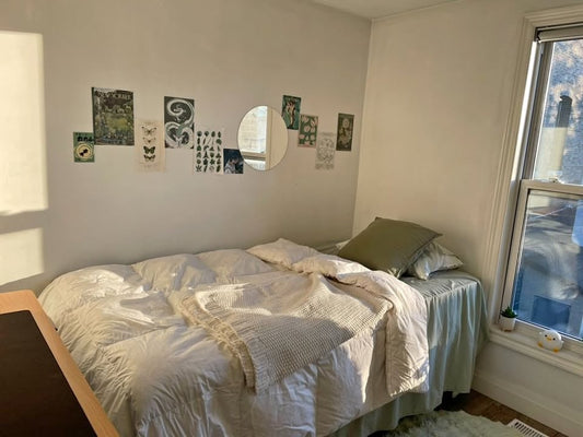 Image_Image_1