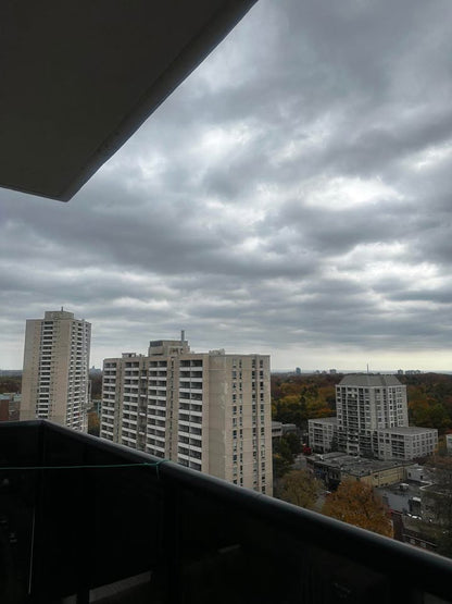 Image_Image_6