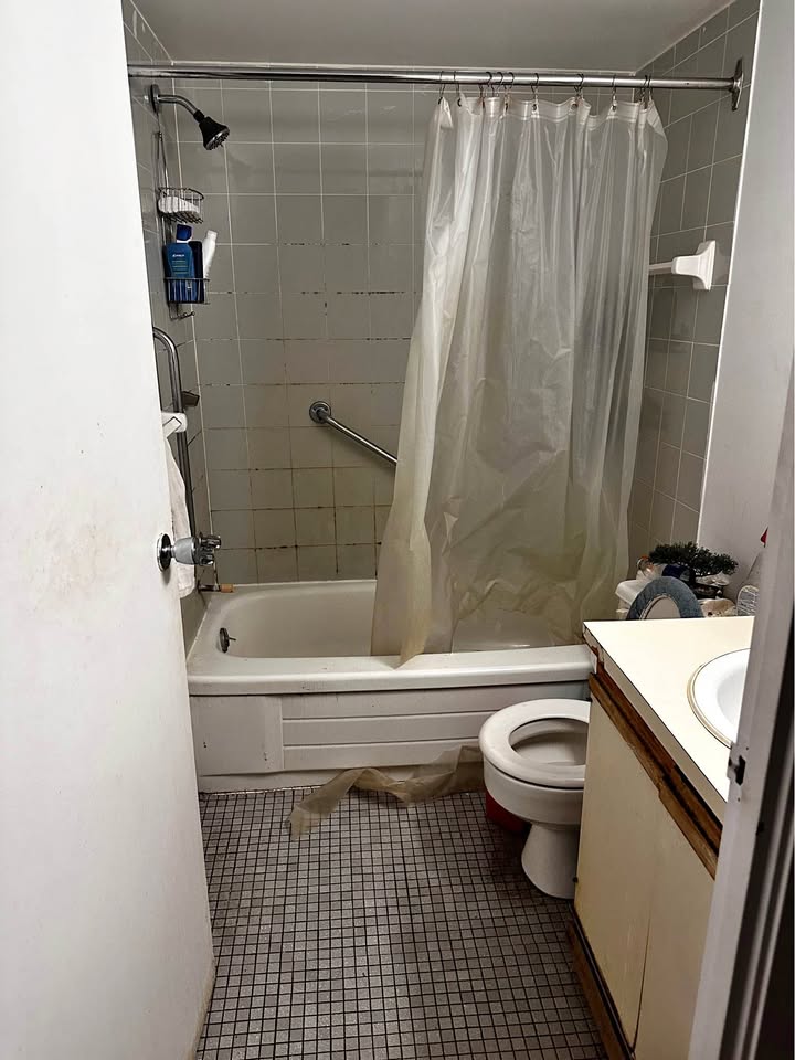 Image_Image_2