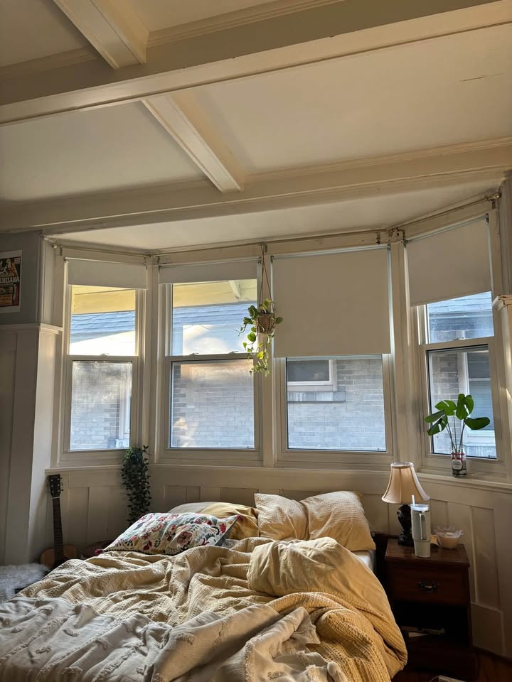 Image_Image_2