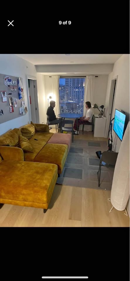 Image_Image_1