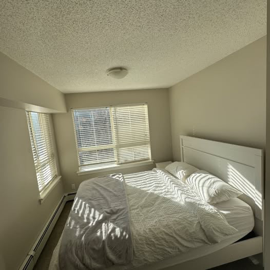 Image_Image_8