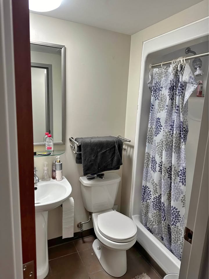 Image_Image_1